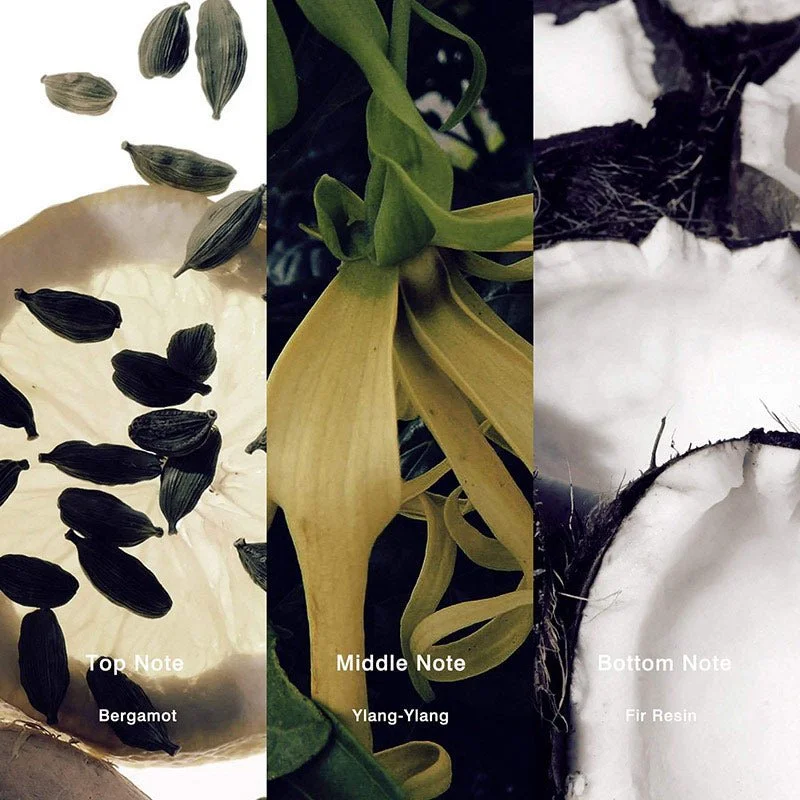 No.20 Inspired by Soleil Blanc Perfume - Image 2