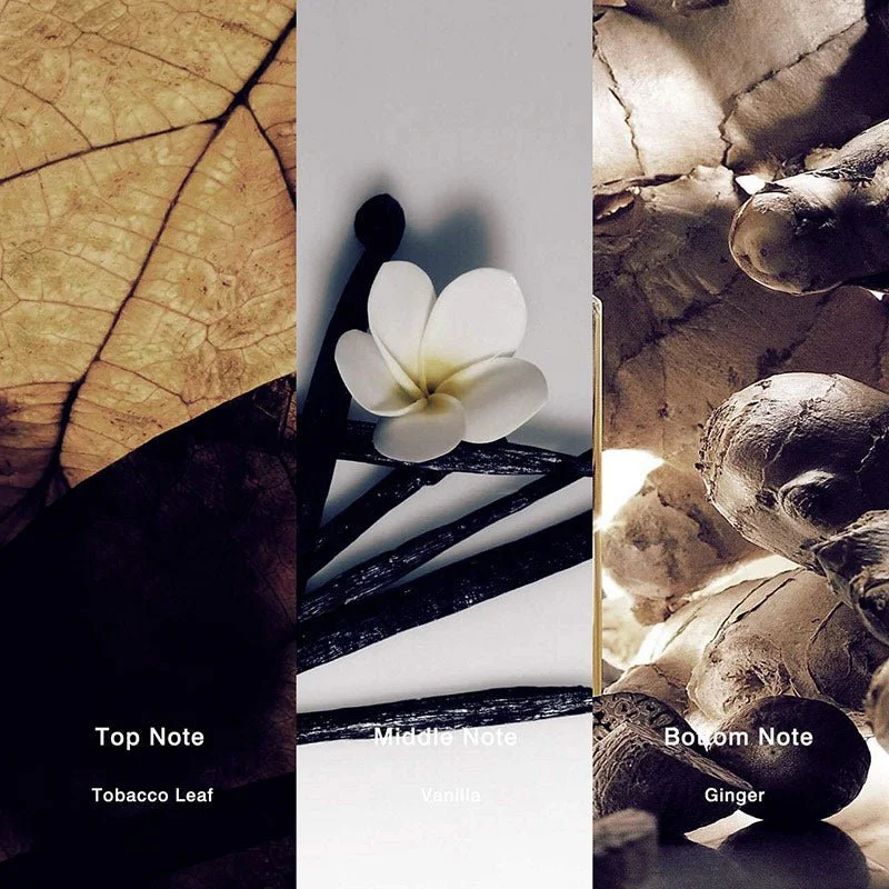 No.21 Inspired by Tom Ford Tobacco Vanille Perfume - Image 2