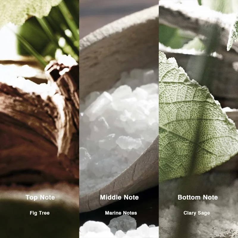No.51 Inspired by Wood Sage And Sea Salt Perfume - Image 2