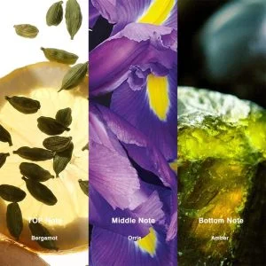 2 42b6698d 23d6 4141 ab3f bf5d19029963 289205