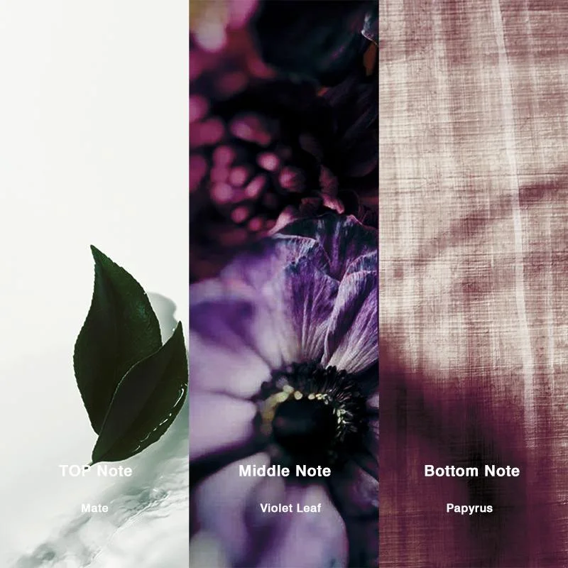 No.10 Inspired by Mixed Emotions Perfume - Image 2