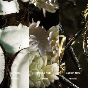 2 4e5d3360 42f3 4c44 9172 4e012fa8c05c 515980