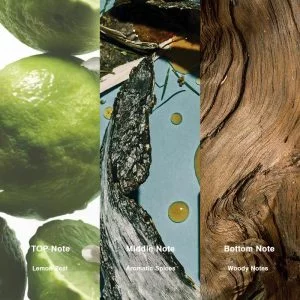 2 851a7ec7 69fc 42cd a7b9 ab5883edb60a 607285