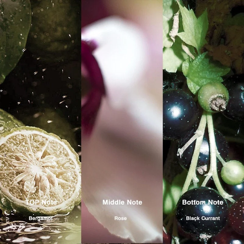 No.02 Inspired by Aventus For Her Perfume - Image 2