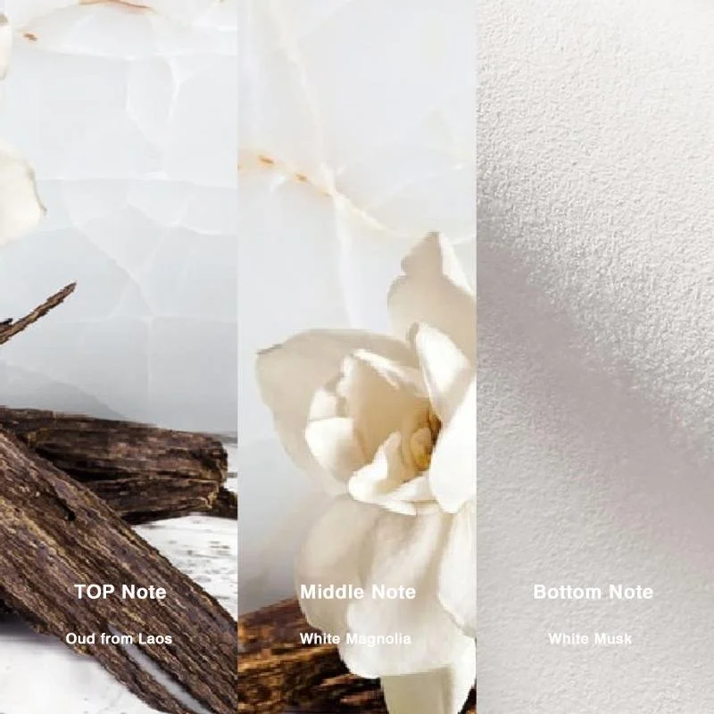 No.05 Inspired by Mancera Crazy For Oud Perfume - Image 2