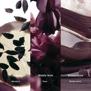 39aa 917279 9a8cfcb2 1a9e 415b b2dc 439eeb2c5c22 950128