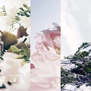 47aa 8dd50743 be72 4459 8ae3 360ca27ce48c 438022 793405