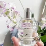 No.19 Inspired by 540 Perfume