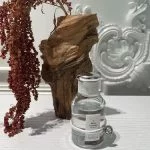 No.22 Inspired by Silver Mountain Water Perfume