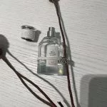 No.22 Inspired by Silver Mountain Water Perfume