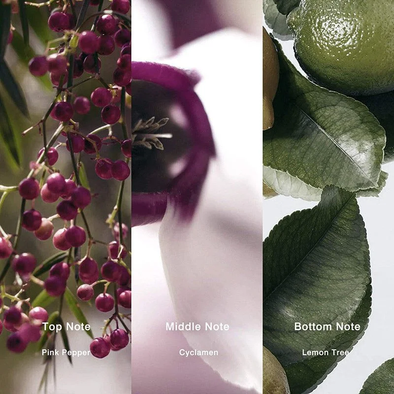 No.41 Inspired by Anthology L'Imperatrice Perfume - Image 2