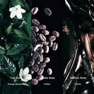 inspired by yves saint laurent s black opium retail price 104 inspired by yves saint laurent s black opium retail price 104 no 40 opium 30827596415133 378686 984791