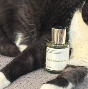 ScreenShot 2026 01 01 190050 402