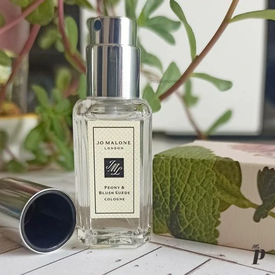 Dupe for Jo Malone Wood Sage and Sea Salt