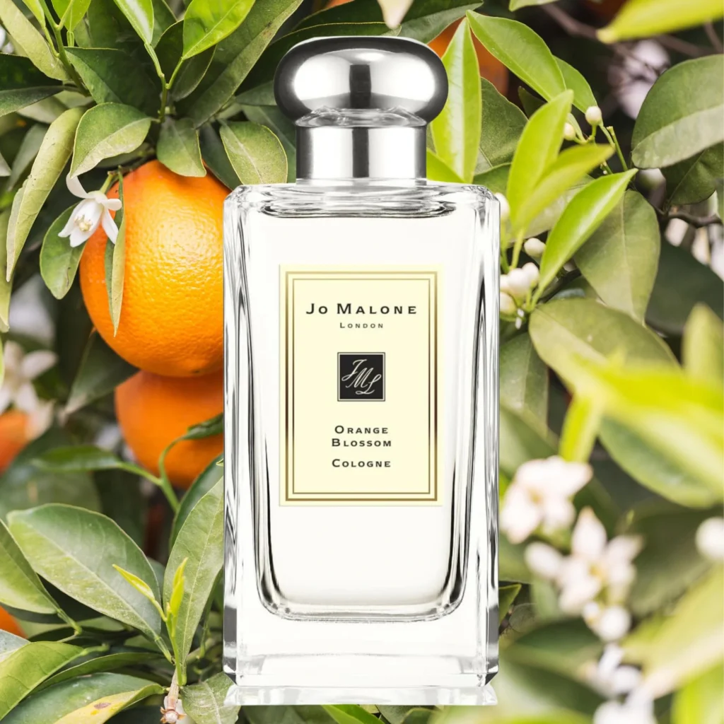 Jo Malone Lime Basil and Mandarin Dupes