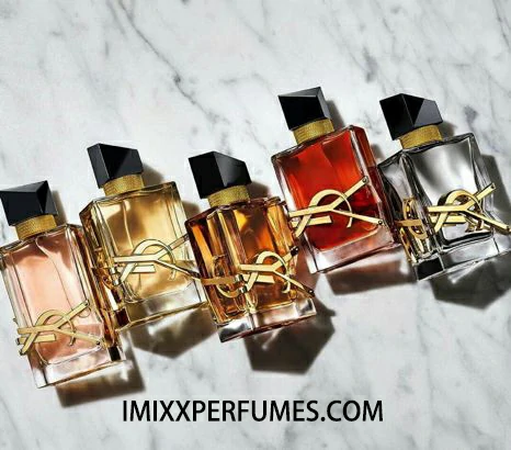 ysl women's fragrance