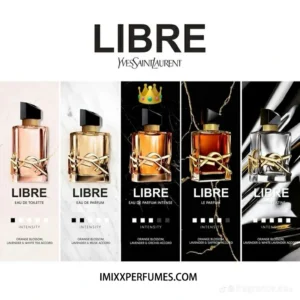 How to Get Your Hands on a YSL Perfume Sample Before Buying the Full Bottle 1 ysl women fragrance