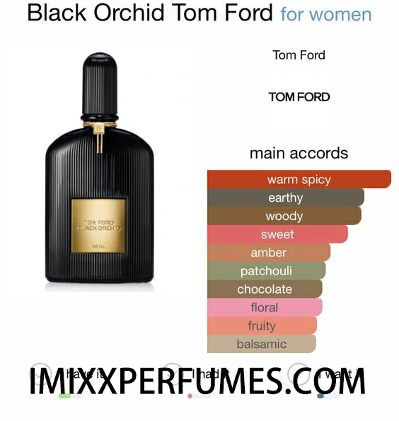 Black opium perfume scents