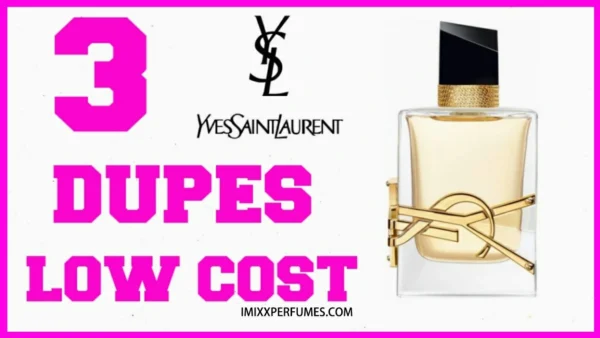 YSL Cologne Dupe