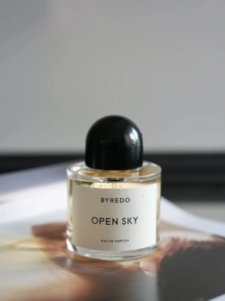 What Makes Open Sky Perfume So Popular? Here’s What You Should Know 17 open sky perfume