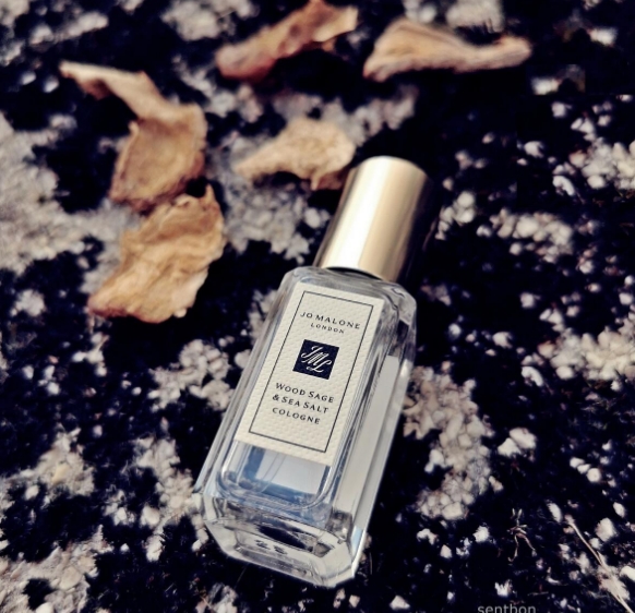 dupe parfum Jo Malone Wood Sage