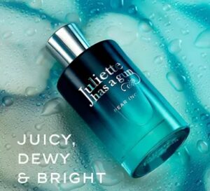 Best Juliette Has a Gun Perfume: My Complete Guide to Iconic Fragrances That Define Your Style 3 juliette has a gun pear dupe