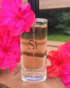 Best Armani Si Dupes 2025: Complete Guide to Finding Your Perfect Affordable Alternative Fragrance 3 Giorgio Armani Dupe