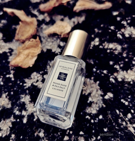 Jo Malone Wood Sage and Sea Salt Dupe: The Best Alternatives That Bring the Ocean Breeze to Your Collection!