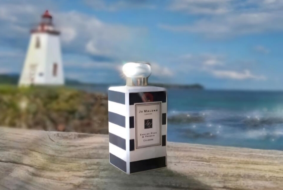 Jo Malone Sea Salt and Wood Sage Cologne Dupe: Are There Alternatives That Match the Fresh, Coastal Vibe?