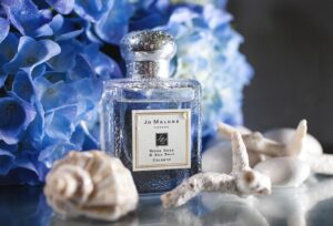 8 Best Jo Malone Sea Salt and Wood Sage Dupe 3 dupe jo malone wood sage and sea salt