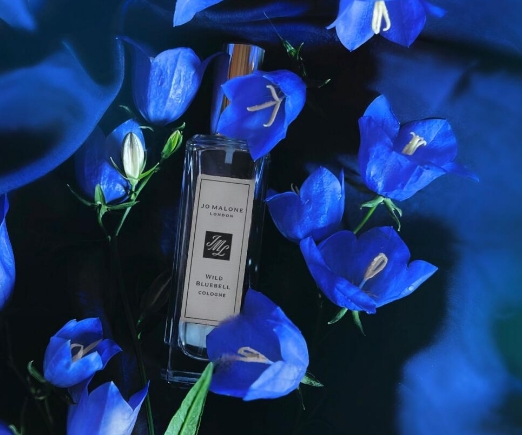 Which is the Best Dupe for Jo Malone Wild Bluebell? Here Are the Best Alternatives to Buy on a Budget in 2024 US