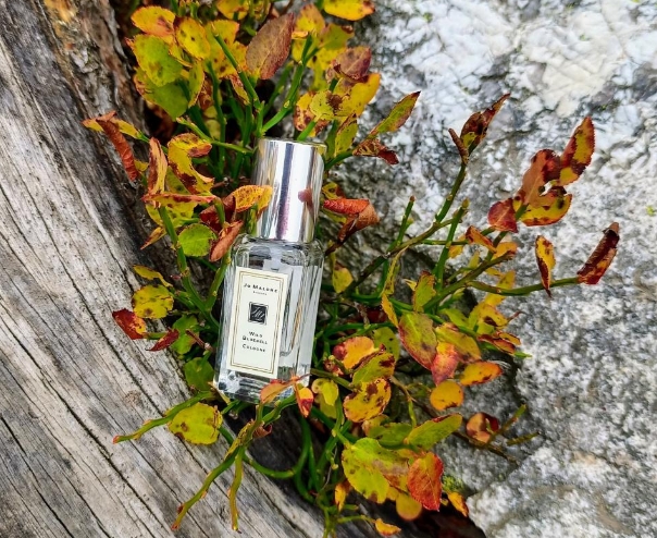 Which is the Best Dupe for Jo Malone Wood Sage And Sea Salt? Here are the Best Alternatives to Buy on a Budget in 2024 US