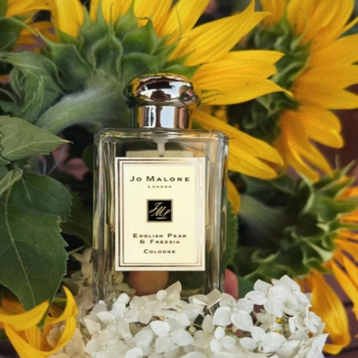 jo malone english pear & freesia perfume