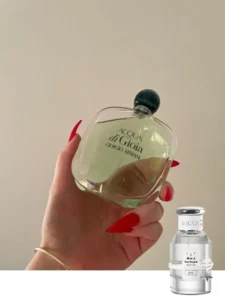 Visual comparison of the discontinued Acqua di Gio Profumo bottle next to a high-concentration Extrait de Parfum alternative matching its marine and incense notes.