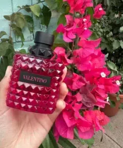 How to Find the Perfect Born in Roma Dupe: A Master Perfumer’s Guide to Accessible Luxury 2 Visual breakdown comparing expensive designer fragrance packaging with high-quality affordable EDP perfume formulations.
