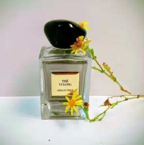 How to Find the Best Armani The Yulong Dupe: A Perfumer’s Guide to Tea Fragrances, Longevity Hacks, and Quiet Luxury 1 Cost breakdown and value comparison between traditional designer luxury tea perfumes and direct-to-consumer laboratory alternatives.