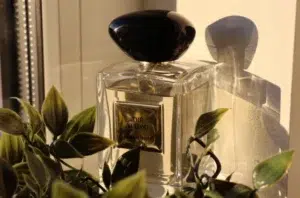 How to Find the Best Armani The Yulong Dupe: A Perfumer’s Guide to Tea Fragrances, Longevity Hacks, and Quiet Luxury 2 A side-by-side longevity and scent profile comparison of Armani Prive The Yulong versus Extrait de Parfum high-concentration tea fragrances.