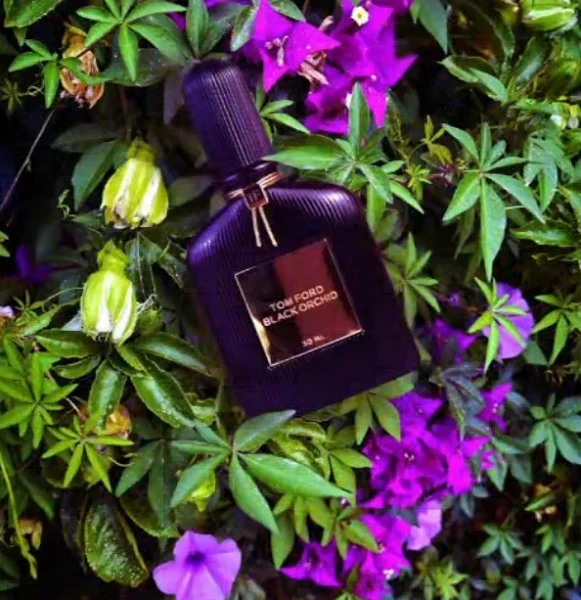 Side by side comparison of a $200 luxury dark floral designer perfume and a high-concentration Extrait de Parfum alternative.