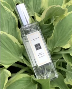 an expensive traditional Blackberry and Bay perfume bottle and a direct-to-consumer fragrance dupe.